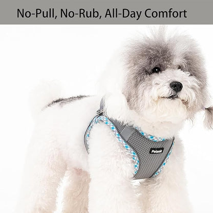 Petank Dog Harness for Small Medium Dogs No Pull, Puppy Harness and Leash Set for Walking, Running, Training, Small Dog Harness, Medium Dog Harness (Grey, XS)