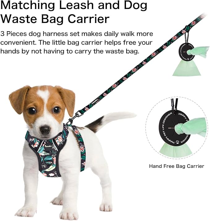 Petmolico Dog Harness for Small Dogs, Cute Harness Vest with Two Leash Clips and Soft Handle, Reflective Easy Walk Puppy Vest - Black Lotus, Small