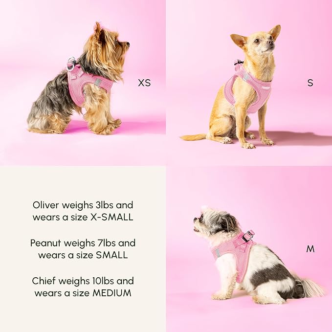 Downtown Pet Supply Step in Dog Harness for Large Dogs - Adjustable, Escape Proof Dog Harness with Reflective Trim - All-Weather, Fast-Drying Padded Mesh Fabric - Tangerine, Medium