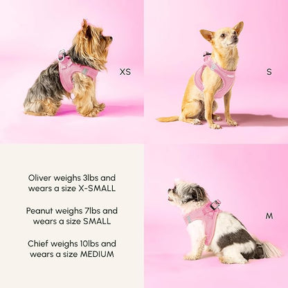 Downtown Pet Supply Step in Dog Harness for Large Dogs - Adjustable, Escape Proof Dog Harness with Reflective Trim - All-Weather, Fast-Drying Padded Mesh Fabric - Tangerine, XX-Small