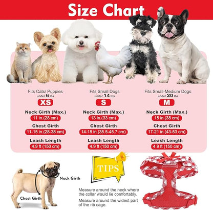 EXPAWLORER Cute Dog Harness and Leash Set - Red Girl Dog Harness Checkered Step-in Design, Easy Adjustable No-Choke Lightweight Breathable Vest for Small Medium Dogs Outdoor Walking, Medium