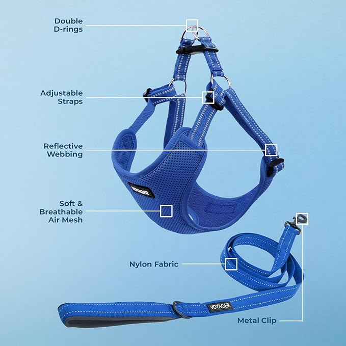 Best Pet Supplies Voyager Adjustable Step-in Flex Breathable Mesh Dog Harness for Small Medium Large Dogs Leash Set (Royal Blue), M
