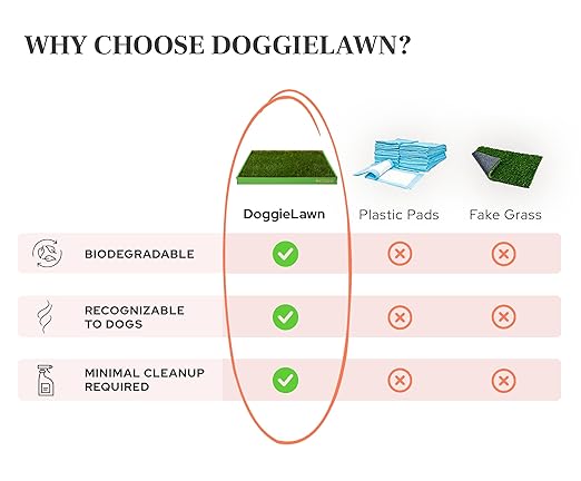 DoggieLawn XL - Real Grass Dog Pee Pad with Built-in Disposable Tray | No Cleaning, Odor-Free | Indoor Outdoor Potty Training for Puppies & Large Dogs | 48" x 24"