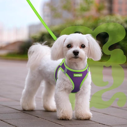 rabbitgoo Dog Harness Small Sized and Leash Set, Step-in Breathable Pet Harness, Soft Walking Reflective Puppy Vest for Small Dogs, Purple & Green, M