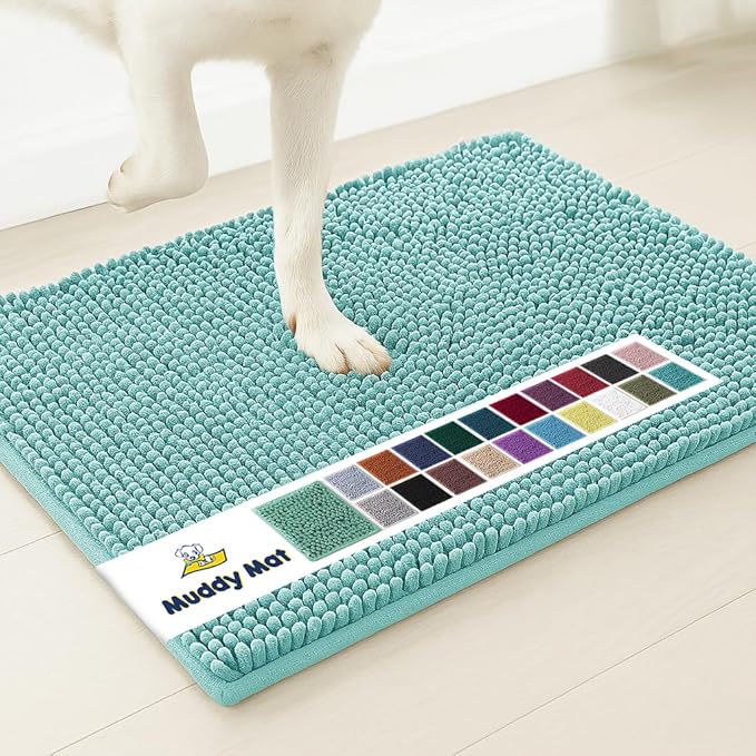 Muddy Mat® | Super Absorbent Door Mat Indoor, Microfiber Quick Dry Chenille Entryway Rug, Non-Slip Front Door Mat, Indoor Mats for Entryway, Machine Washable Pet Rug, Seafoam Green 48"x60"