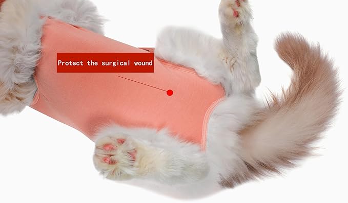 Cat Recovery Suit Female Kitten Onesie for Cats After Surgery Female Spay Surgical Abdominal Wound Skin Diseases Cone Collar Soft Alternative Wear (Orange, M)