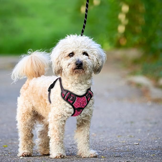 BARKBAY No Pull Dog Harness Large Reflective Dog Harness with Front Clip and Easy Control Handle for Walking Training Running with ID tag Pocket(Pink/Black,S)