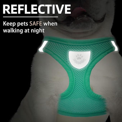 PUPTECK Adjustable Dog Harness Collar and Leash Set Step in No Pull Pet Harness for Small Medium Dogs Puppy and Cats Outdoor Walking Running, Soft Mesh Padded Reflective Vest Harnesses, Solid Green L