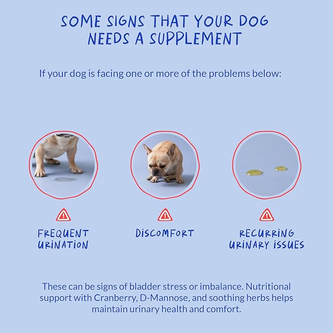 Cranberry for Dogs - 90 Soft Chews - Urinary Tract Support, Bladder Health, Dog UTI, Bladder Stones, Incontinence Support (Soft Chews)