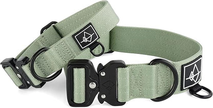 Made to ROAM Premium Dog Collar - Adjustable Heavy Duty Nylon Collar with Quick-Release Metal Buckle (Washington Rain, Classic Size 2.5)