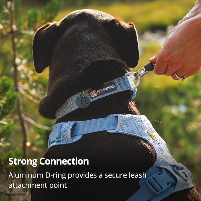 Ruffwear, Front Range Flex Dog Collar, Soft Engineered Knit for Everyday Walks, Lightweight Adjustable with Aluminum V-Ring, Integrated ID Tag Silencer, Quick Release Buckle, Deep Teal, 9"-11"