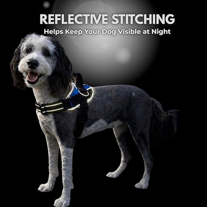 ShawnCo Essential Dog Harness, No-Pull Pet Vest with 3 Leash Clips, No Choke, Reflective, Adjustable and Padded, for Easy Walking and Training for Small, Medium and Large Dogs (USA Flag,S)