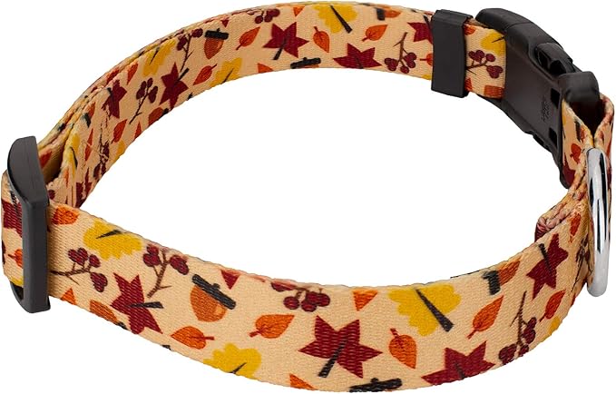 Country Brook Petz - Fall Foliage Everyday Dog Collar and Leash - Awesome Autumn Collection Featuring Designs You Will Fall for (1 Inch, Extra Large)
