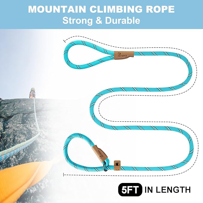 5 FT Slip Lead Dog Leash, Heavy Duty Rope Leash for Small Medium Large Dogs, No Pull Training Lead with Reflective Thread, Strong Comfortable Loop Leash (Teal Stripe, Medium(3/8"))