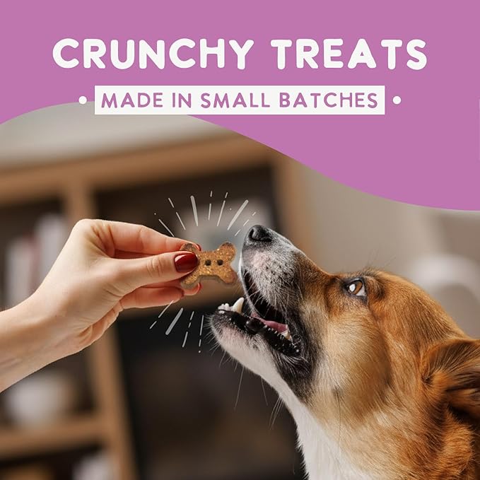 Health Extension Oven-Baked Dog Treats, Lamb Recipe – Gluten & Wheat-Free, Superfood-Infused, Crunchy Biscuits for Puppy Training (2.25 lb)