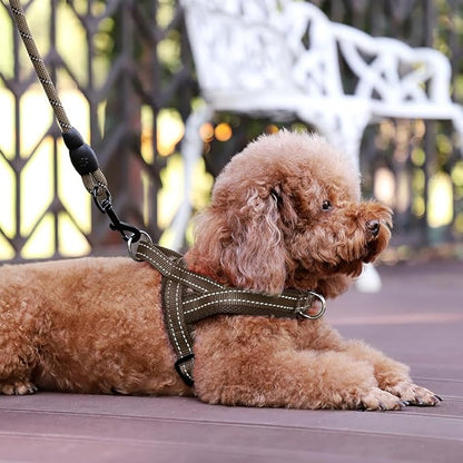 Plutus Pet No Pull Dog Harness with Breathable Mesh Padded, Adjustable Reflective Escape Proof Dog Harness, Quick Fit Dog Vest Harness for Small Medium Large Dogs(S, Chocolate)
