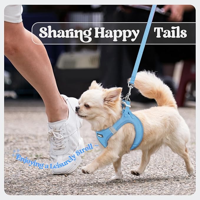 rabbitgoo Dog Harness Small Sized and Leash Set, Step in Soft Light Puppy Vest, Breathable Mesh Pet Harness, Reflective for Safe Easy Walking, Blue XS