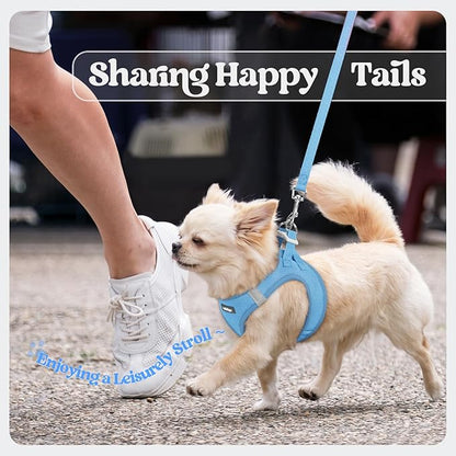 rabbitgoo Dog Harness Small Medium Sized and Leash Set, Step in Soft Light Puppy Vest, Breathable Mesh Pet Harness, Reflective for Safe Easy Walking, Blue L
