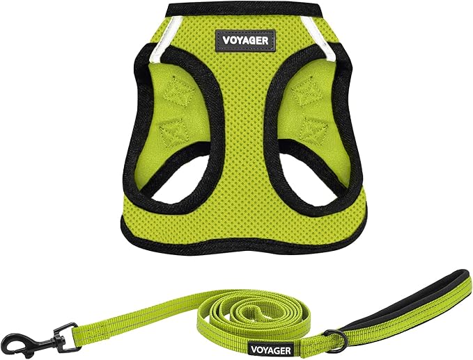 Best Pet Supplies Voyager Step-in Air All Weather Mesh Harness and Reflective Dog 5ft Leash Combo with Neoprene Handle, for Small, Medium and Large Breed Puppies - Set (Lime/Black Trim), X-Large