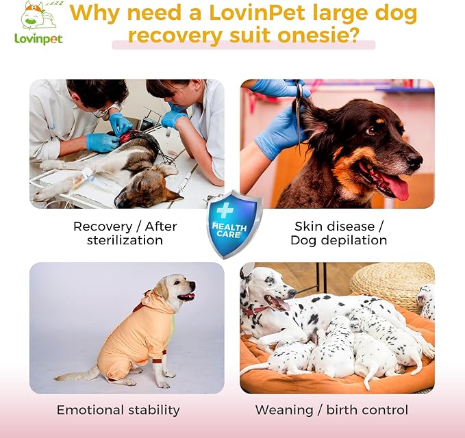 LovinPet Dog Recovery Suit - Medium Large - Dog Bodysuit for Abdominal Wound After Surgery Leg wrap,Wavy Blue,Post-Operative Vest E-Collar Alternative,Cattle,Yellow,XXL