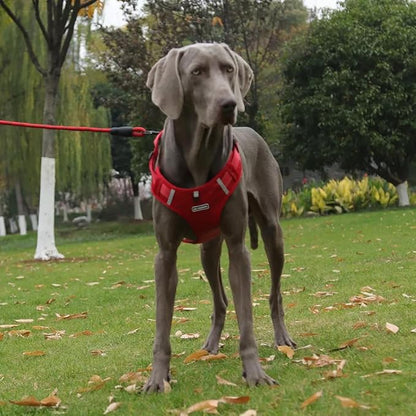 Dog Harness No Pull Adjustable Reflective,for Medium and Large Small Dog with Leash 59.06in (Red, XS)