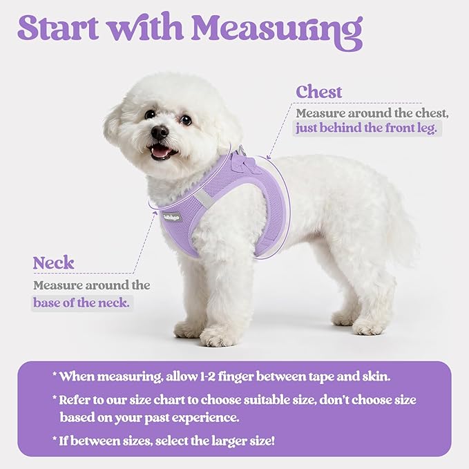 rabbitgoo Dog Harness Small Medium Sized and Leash Set, Step in Soft Light Puppy Vest, Breathable Mesh Pet Harness, Reflective for Safe Easy Walking, Light Purple XL