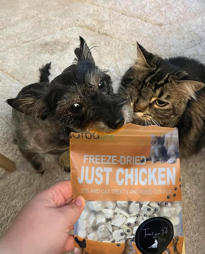 Just Chicken Raw Freeze-Dried Bites Two-Pack Single Source Dog & Cat Treats Food Topper - Training Treasure, Perfect for Picky Eaters, Grain-Free, Protein Rich (2 Packs) (2.0 oz each, Just Chicken)