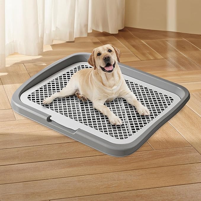 Baoblaze Dog Toilet Puppy Pad Holder Supplies Non Slip with Column Dog Pee Holder Training Pad for Bunny Home Dorm Room, Gray