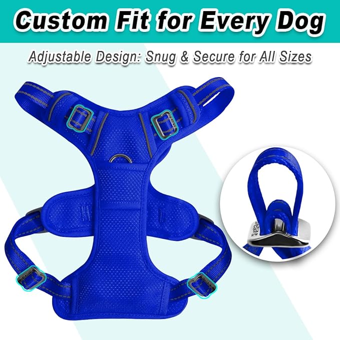 BARKBAY Dog Harness No Pull Mesh for Large Dogs - Adjustable, Reflective, Comfortable, No Choke, Heavy-Duty - Perfect for Outdoor Training, Walking, and Hiking-Strong&Durable- L & Sapphire Blue Mesh
