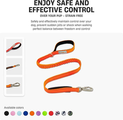 Dog Friendly Co. Bungee Dog Leash | Strain Free & Shock Resistant for Control | Neoprene Padded Handle, Heavy-Duty Carabiner Clip, and D-Ring | Red, Size Small