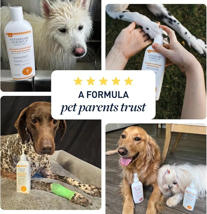 Veterinary Formula Clinical Care Antiseptic & Antifungal Medicated Shampoo and Spray for Dogs and Cats - Helps Alleviate Scaly, Greasy, or Red Skin - Paraben, Dye, and Soap Free, 2 Pack Bundle