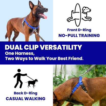 Freedom No Pull Dog Harness, Easy Walk with Two Stainless D-Rings, Front Clip, Comfortable, Sewn-in Instructions Tags for Easy Use, for Large Dogs Weight 60-80 lbs (Blue, L)