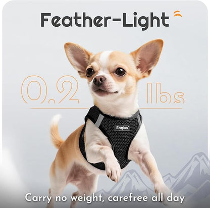 Eagloo Small Dog Harness and Leash Set, Step in Puppy Vest with Breathable Soft Mesh, Walking Reflective Pet Harness for Medium Small Dogs, Black, M
