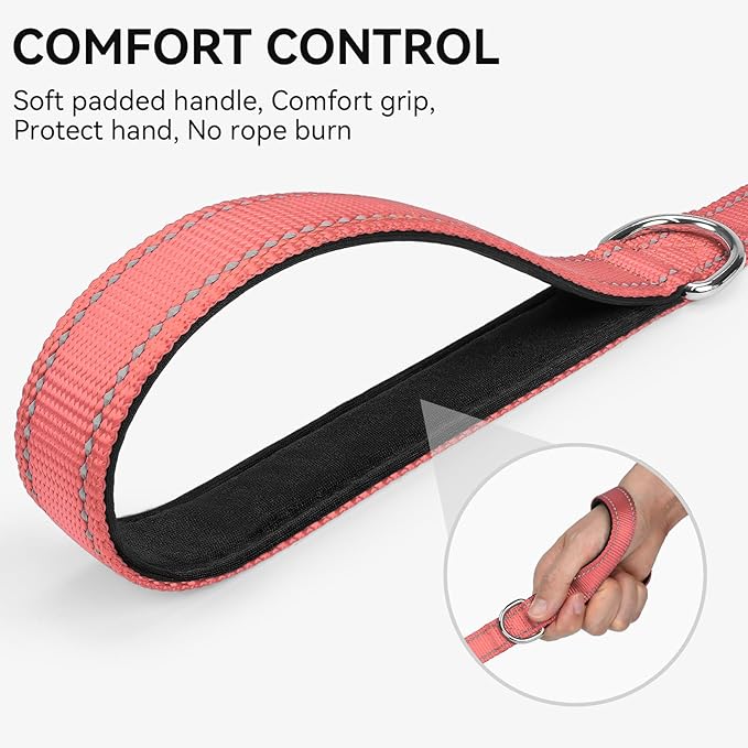 Joytale Dog Leash, 5 FT Double-Sided Reflective, Padded Handle Nylon Heavy Duty Leashes for Medium & Large Dogs Walking, Neon Pink