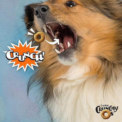 Fromm Crunchy Os Peanut Butter Jammers Dog Treats - Premium Crunchy Dog Treats - Peanut Butter Recipe - 26 oz