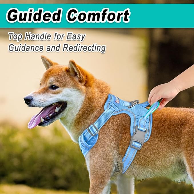 BARKBAY Dog Harness No Pull Mesh for Medium Dogs - Adjustable, Reflective, Comfortable, No Choke, Heavy-Duty - Perfect for Outdoor Training, Walking, and Hiking - Strong & Durable - M & Blue Mesh