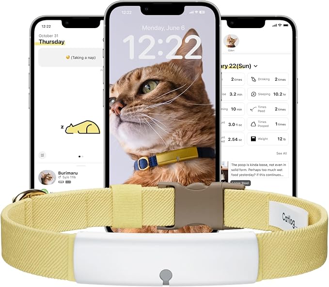 Health Tracker for Cats - Smart Cat Collar with Safety Breakaway Buckle for Indoor Cats, Wellness Alerts, Real-time Monitoring (White×Yellow,XL)
