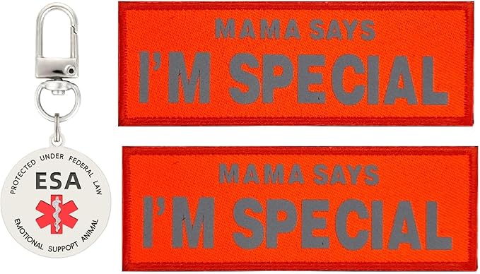 I'm Special Patches 2 pcs, ESA ID Tag Easily Attach to Dog Collar, Harness (Orange)