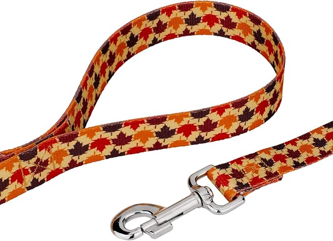 Country Brook Petz - Nature Walk Everyday Dog Collar and Leash Limited Edition - Awesome Autumn Collection Featuring Designs You Will Fall for (1 Inch, Large)