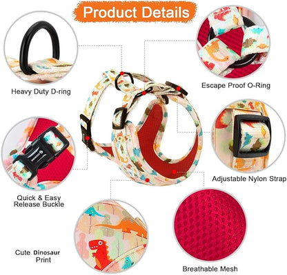 Adjustable Dog Harness and Leash Set for Girl Air Mesh Dog Vest Harness 5Ft Pet Training Leash with Soft Handle Pet Escape Proof for Small Medium Large Dogs (Dinosaur, M)