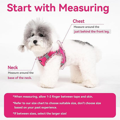 Petank Dog Harness for Small Medium Dogs No Pull, Puppy Harness and Leash Set for Walking, Running, Training, Small Dog Harness, Medium Dog Harness (Grey, S)