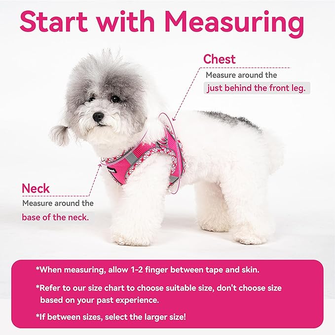 Petank Dog Harness for Small Medium Dogs No Pull, Puppy Harness and Leash Set for Walking, Running, Training, Small Dog Harness, Medium Dog Harness (Grey, L)