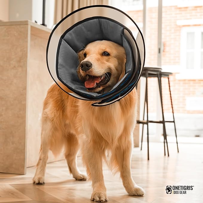 OneTigris Elizabethan Collar Soft Dog Cone for Dogs After Surgery, Breathable Pet Recovery Collar for Large Medium Small Dogs and Cats, Adjustable Dog Cone Collar (Blue, XXL)