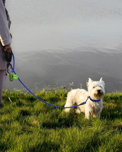 Dynmeow Reflective Dog Collar and Leash Set, 6FT Strong Climbing Rope Leash with Padded Handle, Adjustable Pet Collar with Soft Neoprene Padding for Puppy Small Dogs, Navy-Blue, Xs