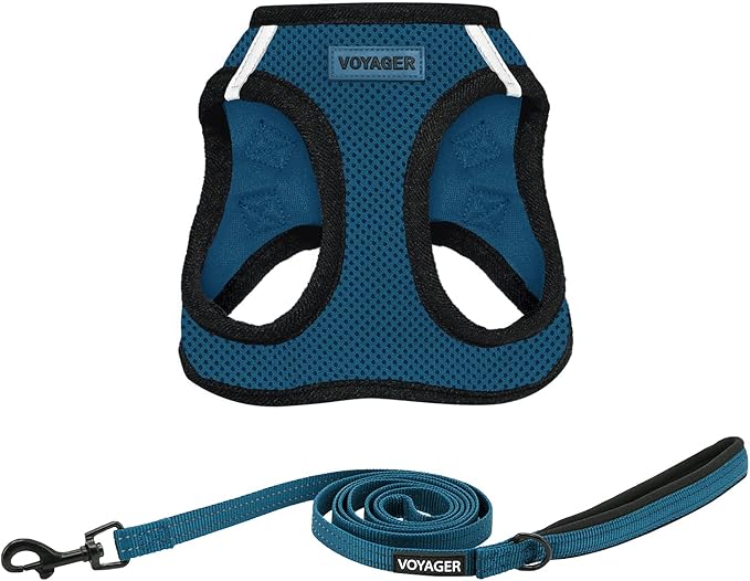 Best Pet Supplies Voyager Step-in Air All Weather Mesh Harness and Reflective Dog 5ft Leash Combo with Neoprene Handle, for Small, Medium and Large Breed Puppies - Set (Blue/Black Trim), XX-Small