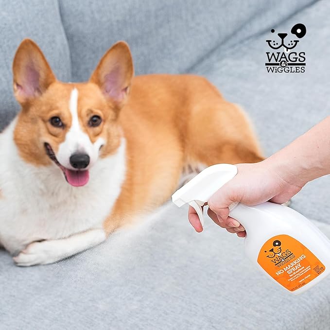 Wags & Wiggles No Marking Deterrent Training Spray for Dogs - Indoor Dog Pee Repellent & Behavior Aid, Anti Pee & Urine Deterrent, No More Marking, Ideal for Potty Training, 16 Fl Oz - 2 Pack