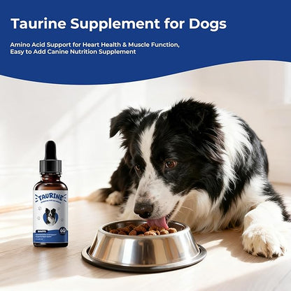 Taurine Supplement for Dogs Liquid Drops Amino Acid Support for Heart Health & Muscle Function, Easy to Add Canine Nutrition Supplement