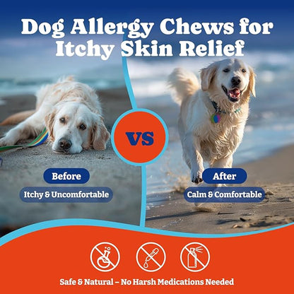 Dog Allergy Relief Chews – 180 Soft Chews, Salmon & Blueberry Flavor - Immune Support & Itch Relief with Colostrum, Astragalus Root, 6-Strain Gut Health Blend