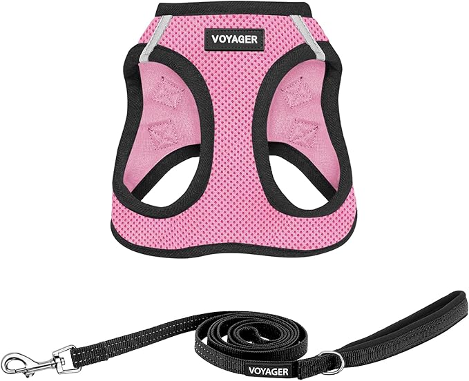 Best Pet Supplies Voyager Step-in Air All Weather Mesh Harness and Reflective Dog 5ft Leash Combo with Neoprene Handle, for Small, Medium and Large Breed Puppies - Set (Pink Base), Small