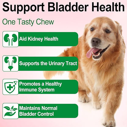Urinary Tract for Dogs, Dog Urinary Tract Infection Treatment with Cranberry Supports Urinary Tract & Bladder, Supports Kidney Stone & Dog UTI, Pet Supplement Cranberry Supplement for Dogs - 60 ml